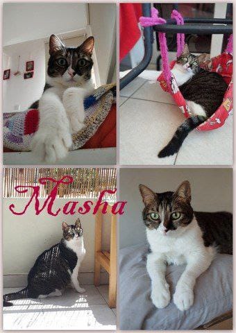 photo_2024-02-24_17-13-26