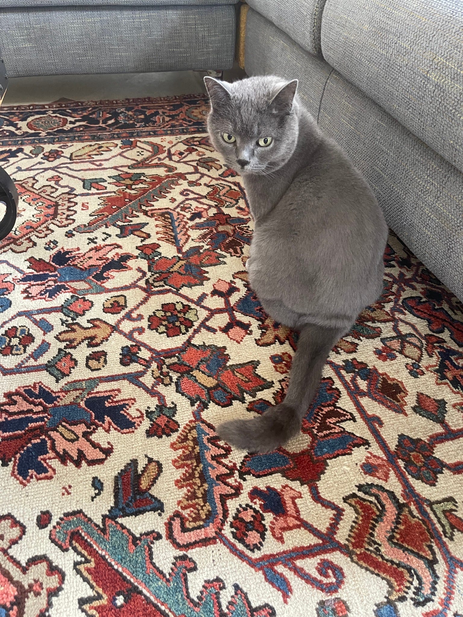 uuid343D49EB-FA7F-45C0-A44A-D68604F10B37library1type1mode1loctruecaptrue