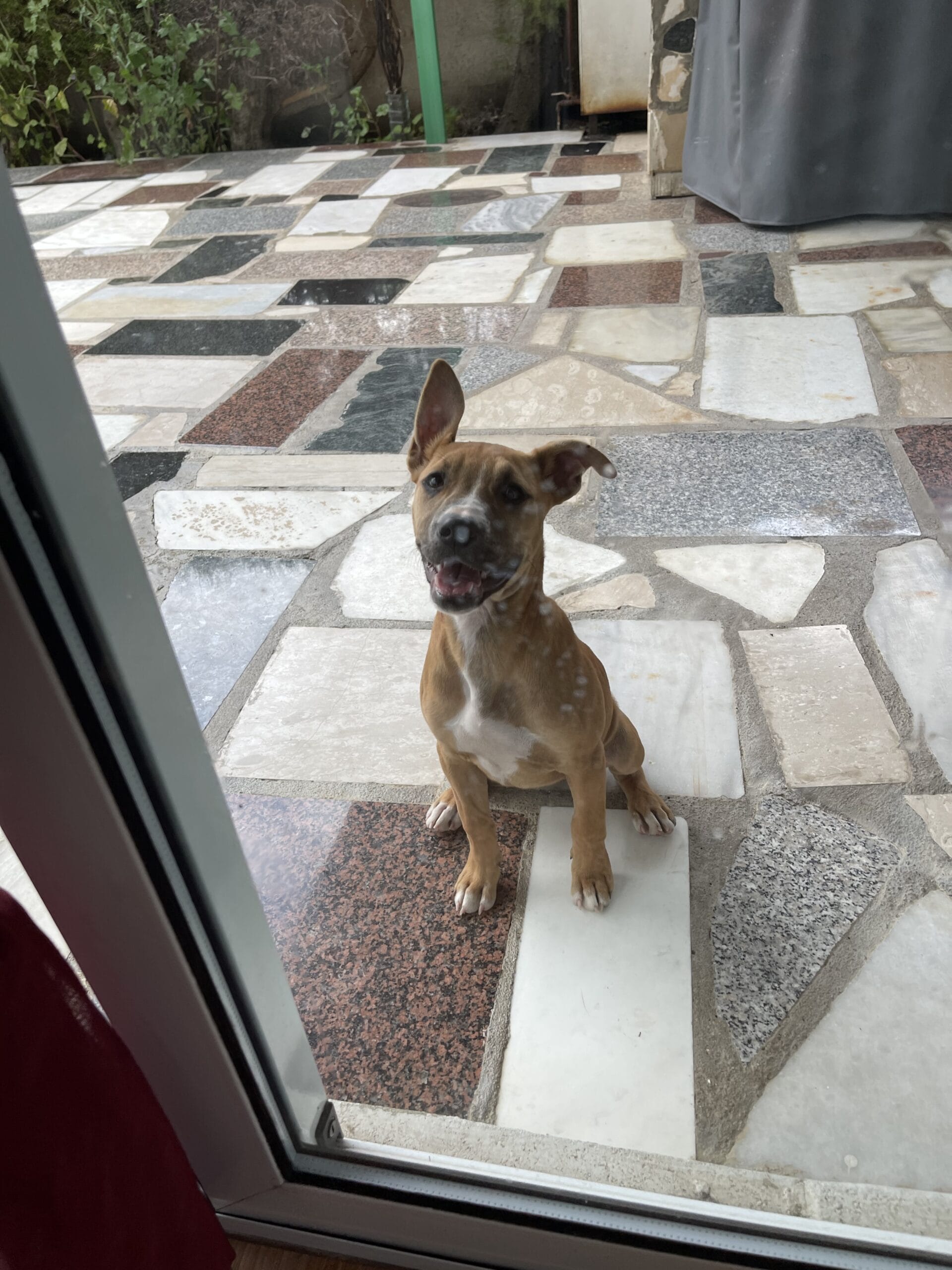 36FD5729-F1D6-4EC1-BD06-ADE91C5813C5