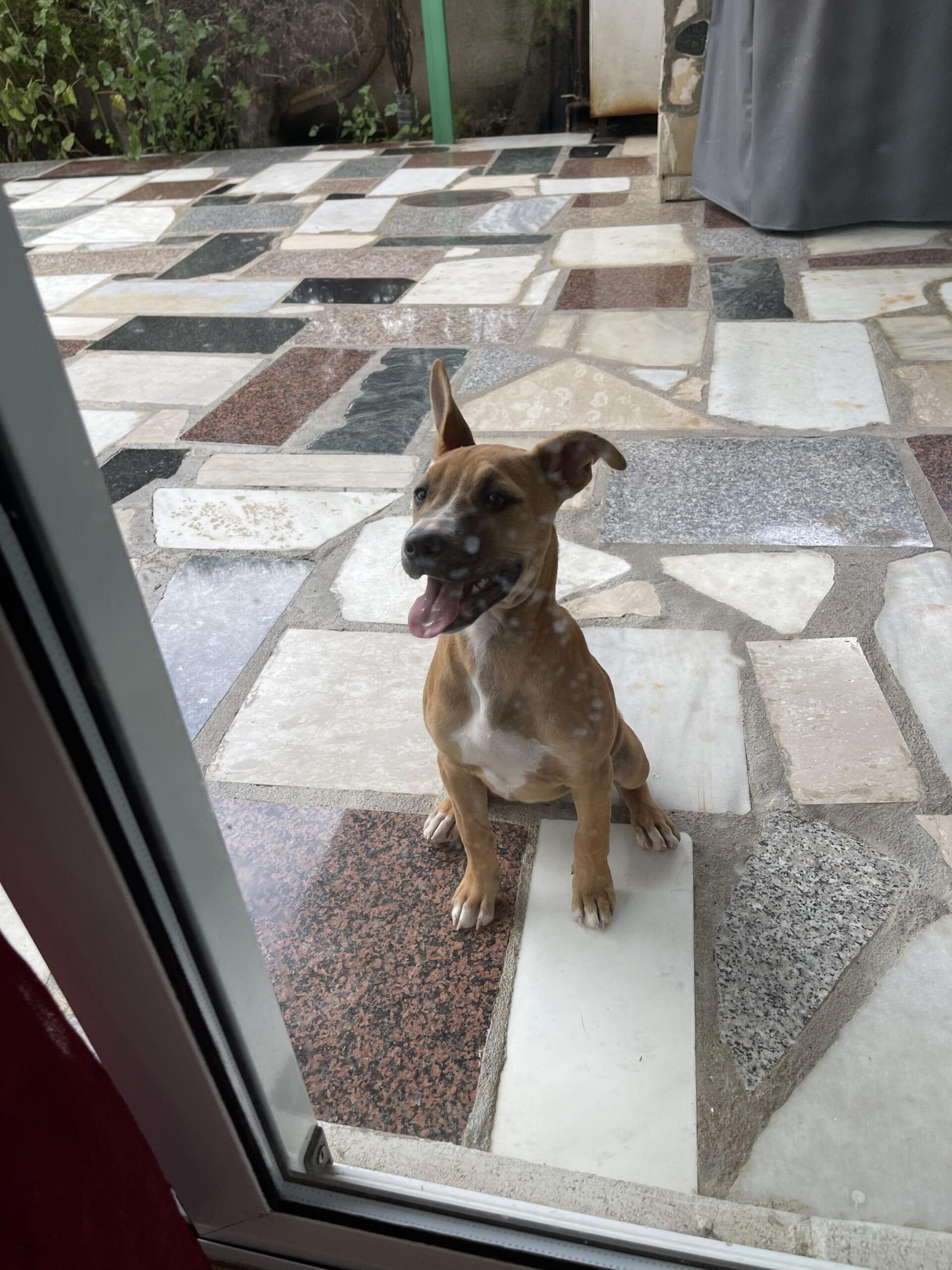 DE191B01-7912-4F25-8402-30F1BA80A24A