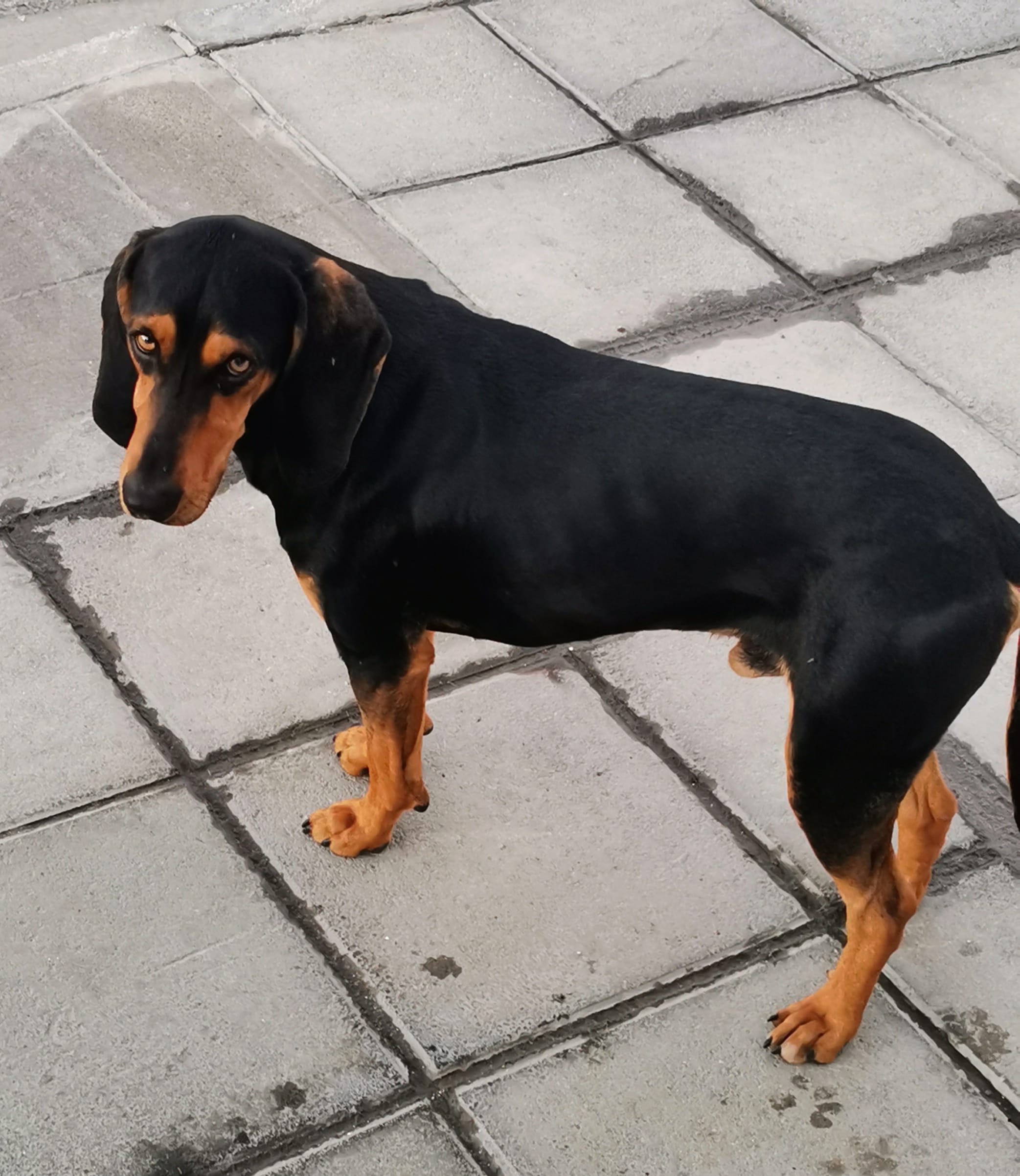 IMG_20231228_165138_edit_402568014183883