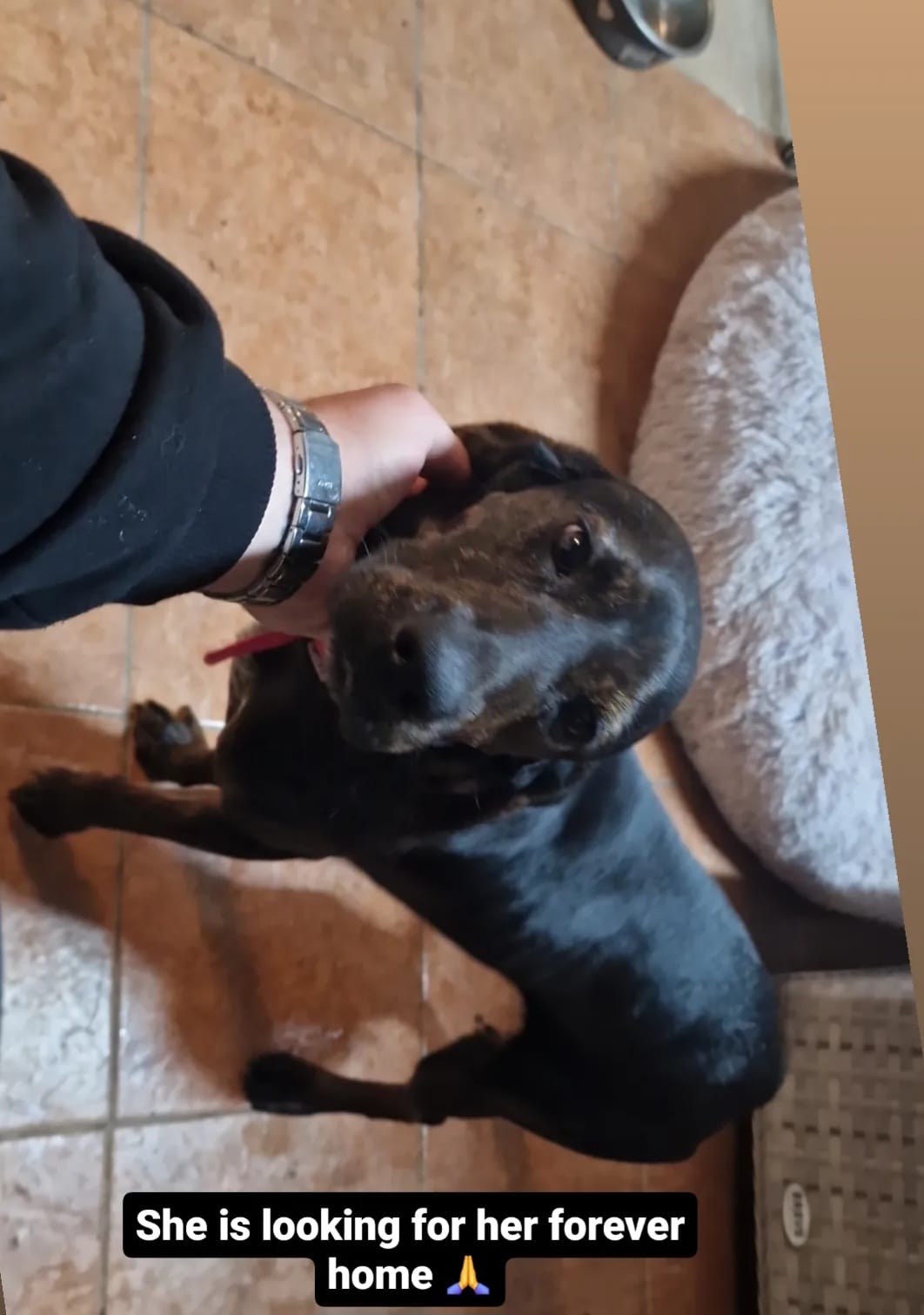 Screenshot_20240318_222206_Instagram