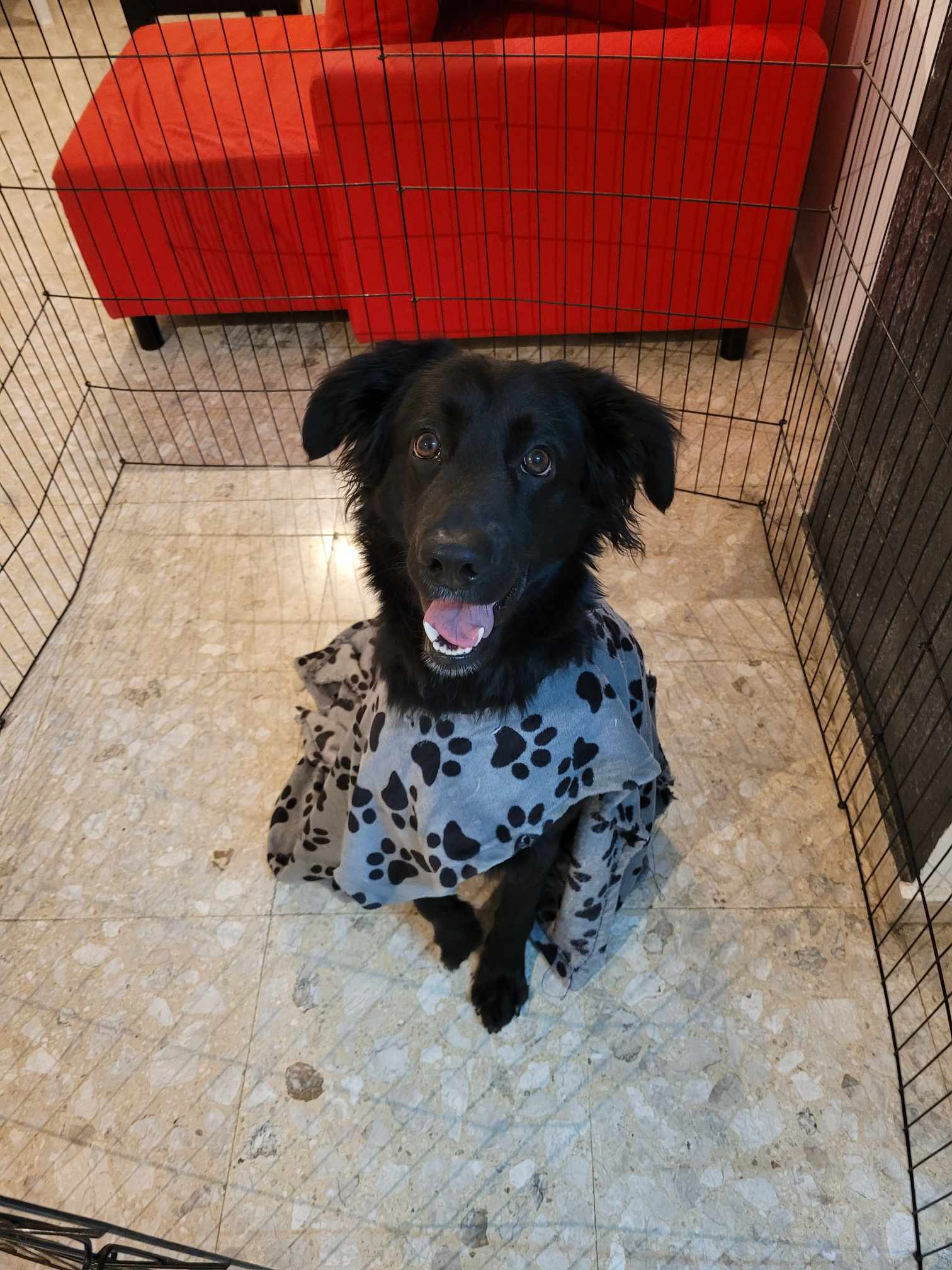 received_1139017777261916