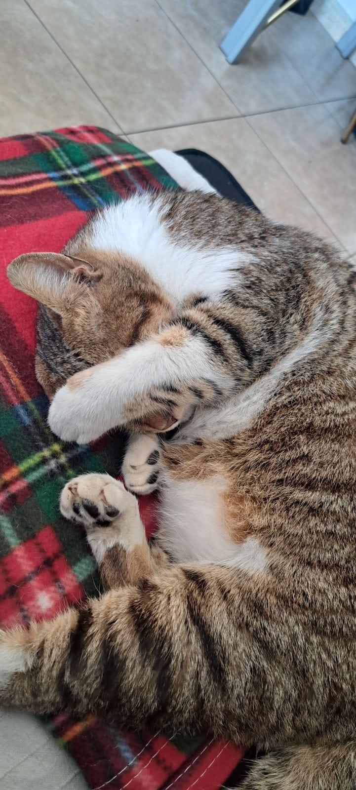 0-02-05-6fc0f229aabe5dac7f19fa918d030487c41291743b478a28164b1093c35295e6_40530fe43fd59238