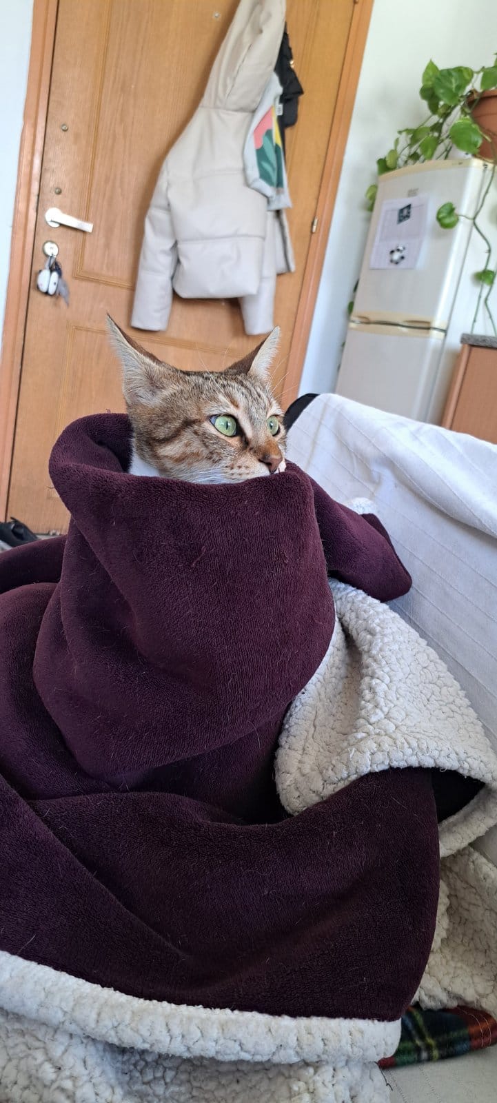 0-02-05-f02178da2c5cc34e394ba8d76bb66a67079d077464e3e16c181b81dfb76e5e5d_5dd41b966731dd8b