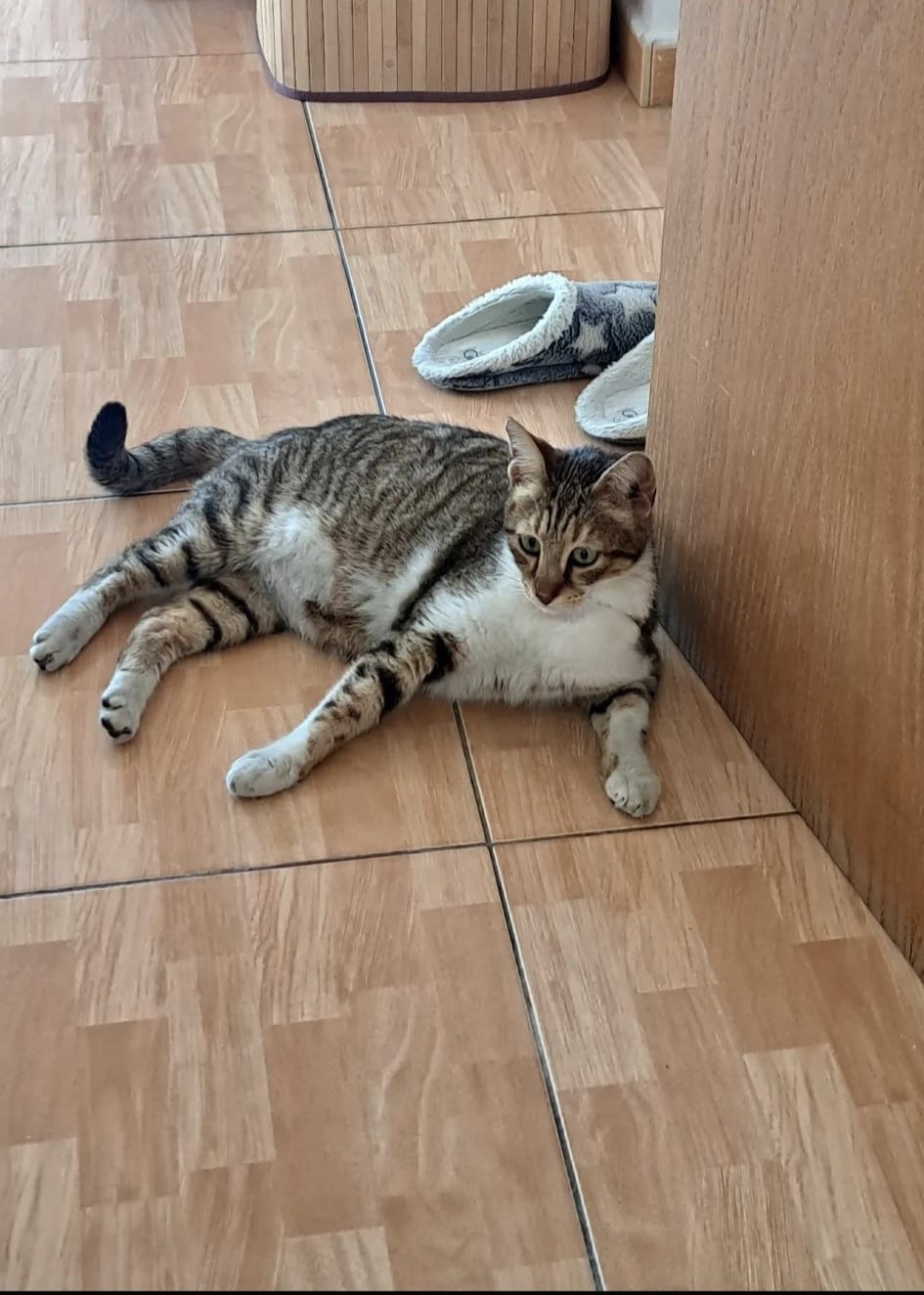 434562355_1994984144256482_3869238356810968802_n