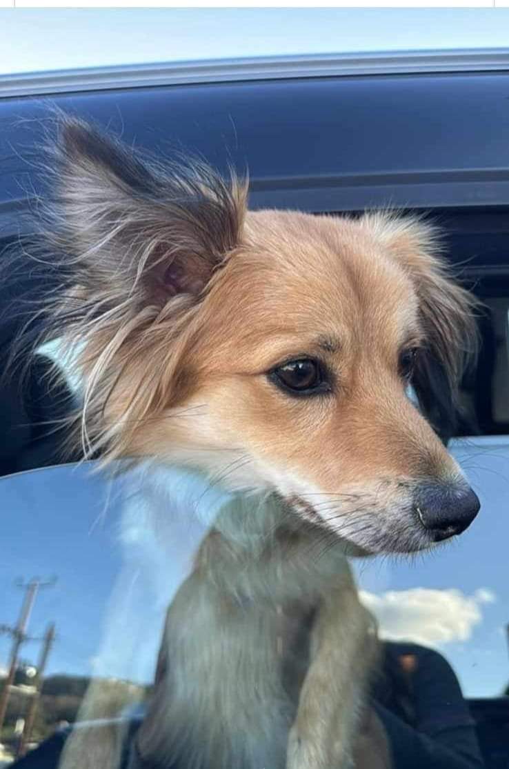 FB_IMG_1714045083091