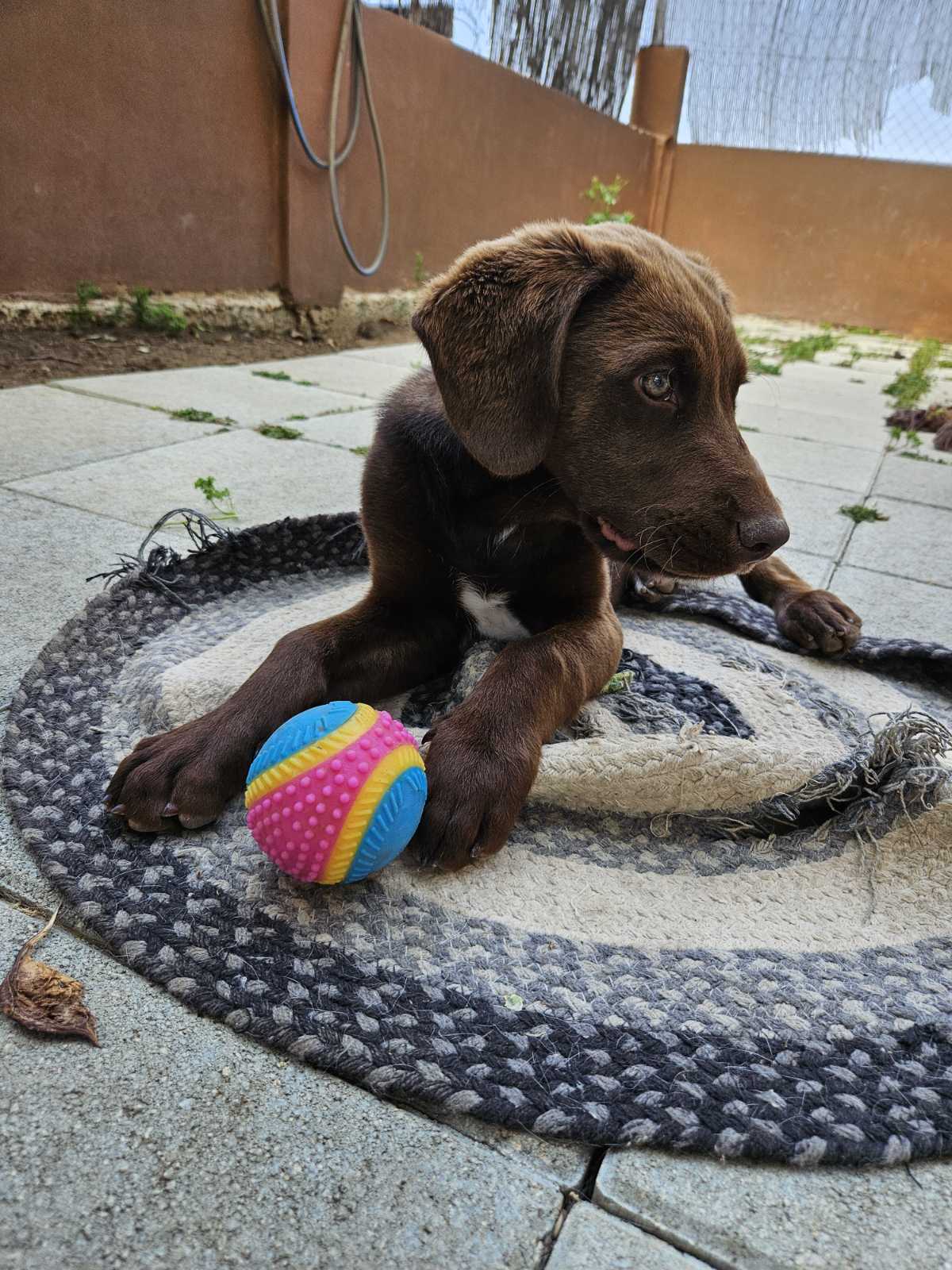 IMG-263bf0ee9aa99ebb9648044e2a671852-V