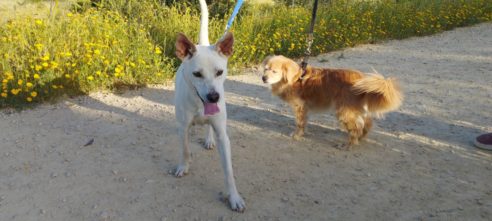 IMG-29f509da42b7b649427253996223bb61-V