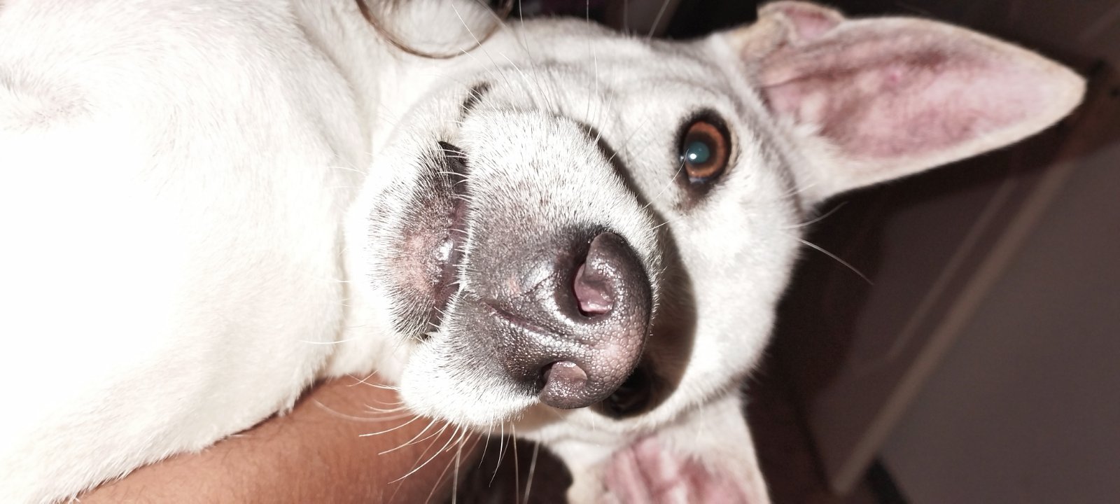 IMG-6ebcadc738f0984c18fac91ca88ec77c-V