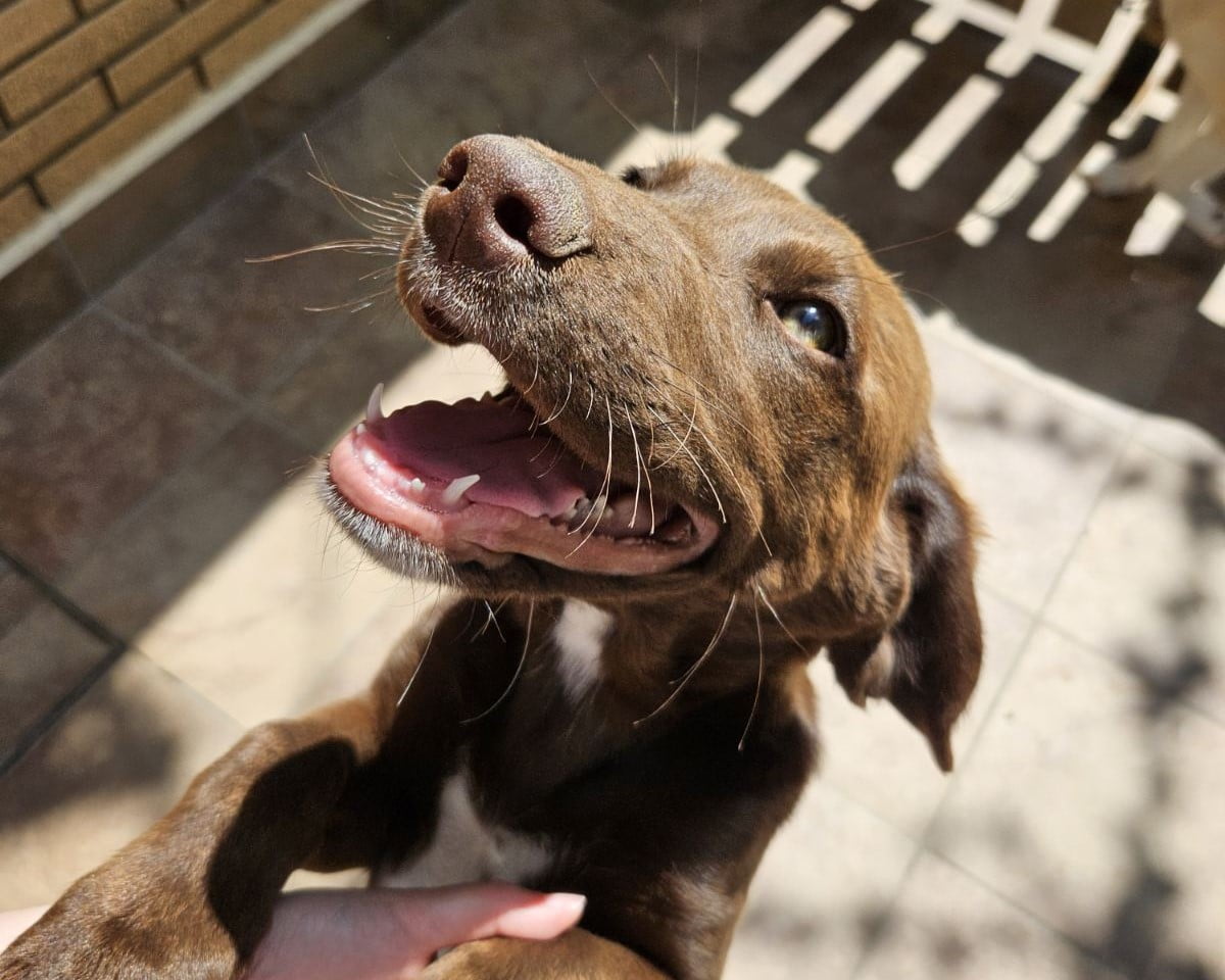 IMG-99d965548896f6c5e5a1403b9455e645-V1