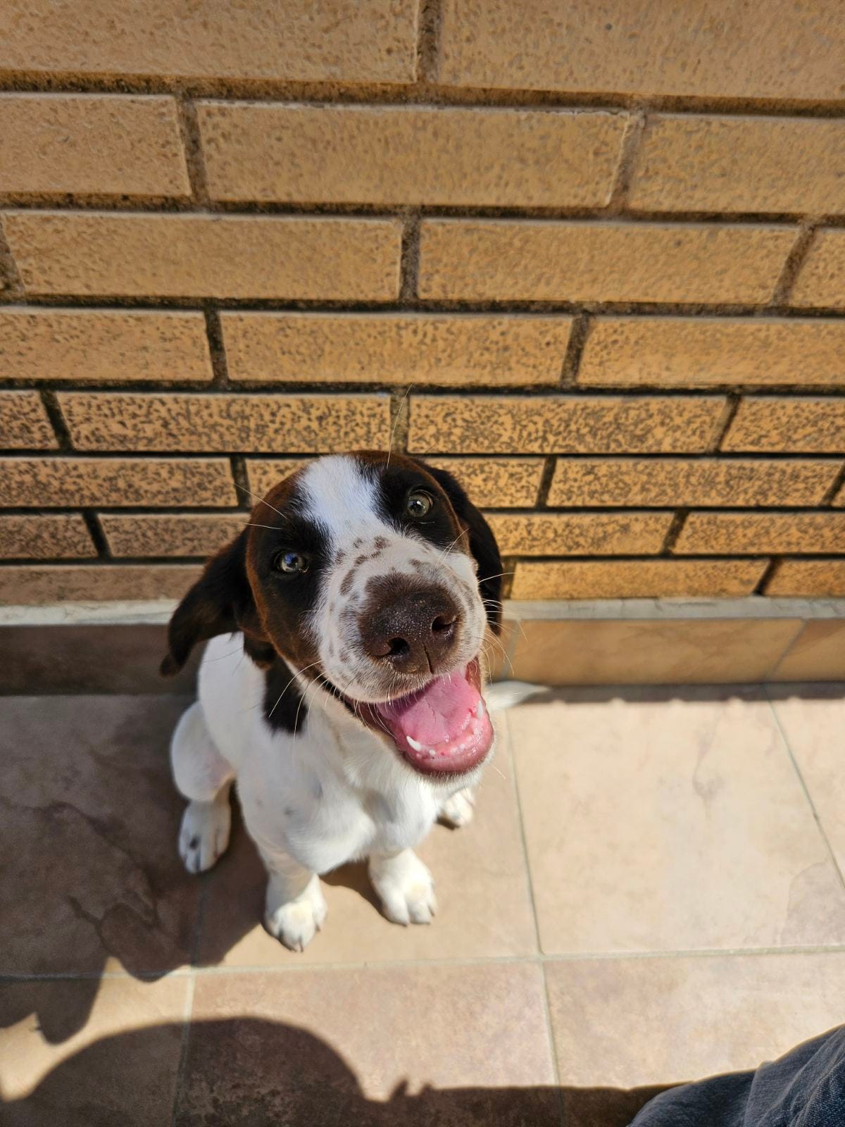 IMG-ce5f9df2d3fceeb360095bab8e89c0cf-V