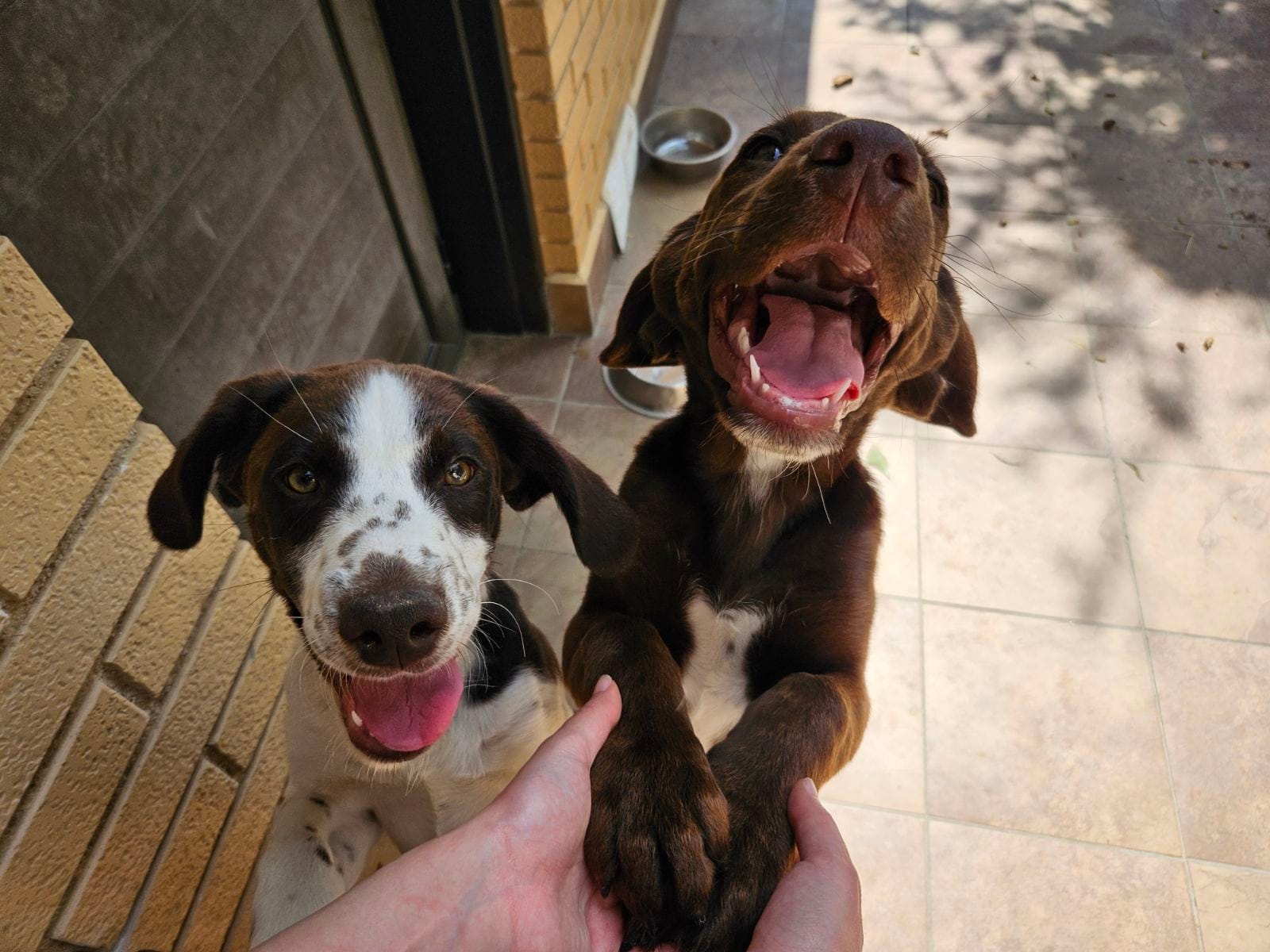 IMG-da88a59260b01dae5f57f83a087f6d7a-V