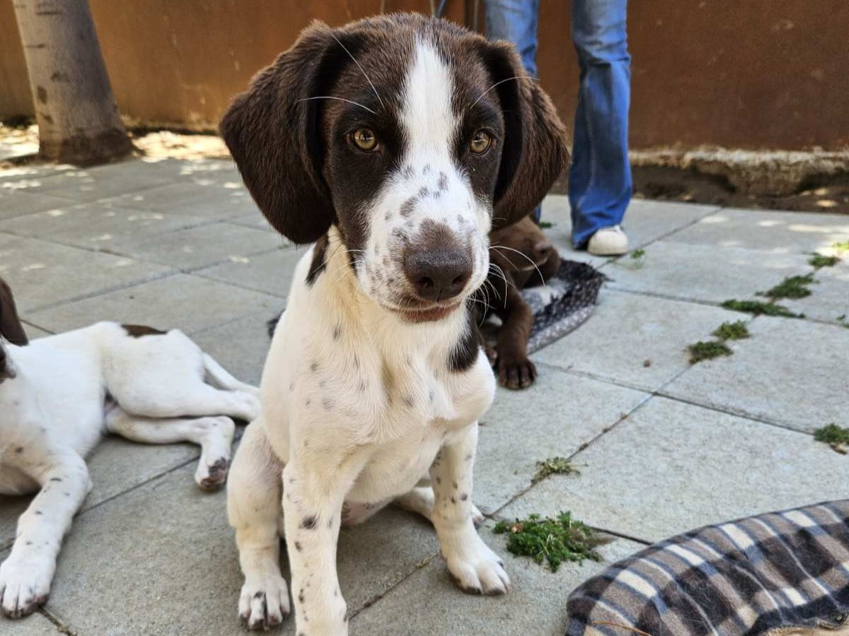 IMG-e15eeb99d8a07cfdbecb32e5094288a1-V1