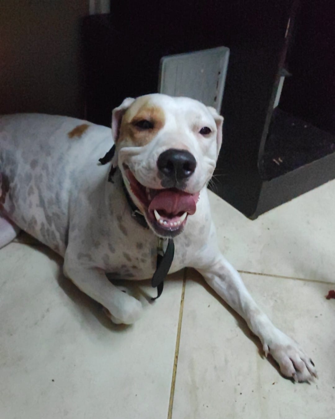 IMG_20230808_195228-1