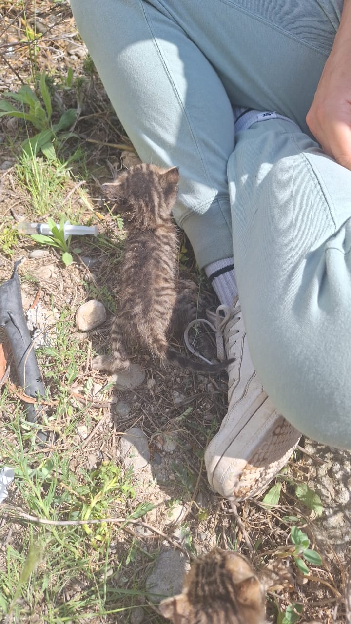 08bb9af3-4ab2-4e51-bcc9-cdf2bb6b1688