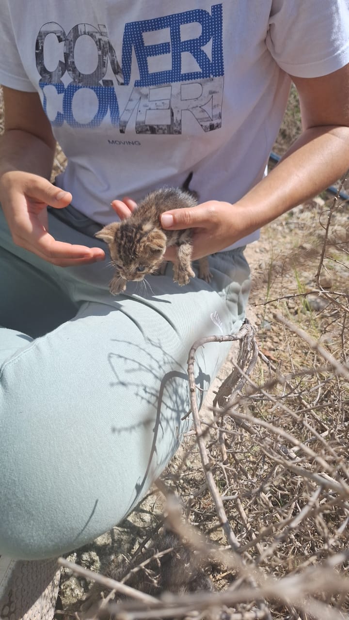 5f5cc3fe-3a33-4b8a-b04c-cad27f3ada88