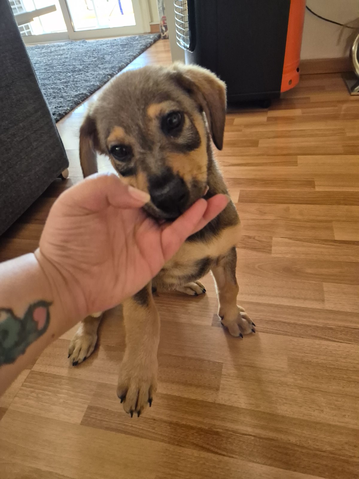 IMG-a566ec117265d8bbd8a1c243cdd2d666-V