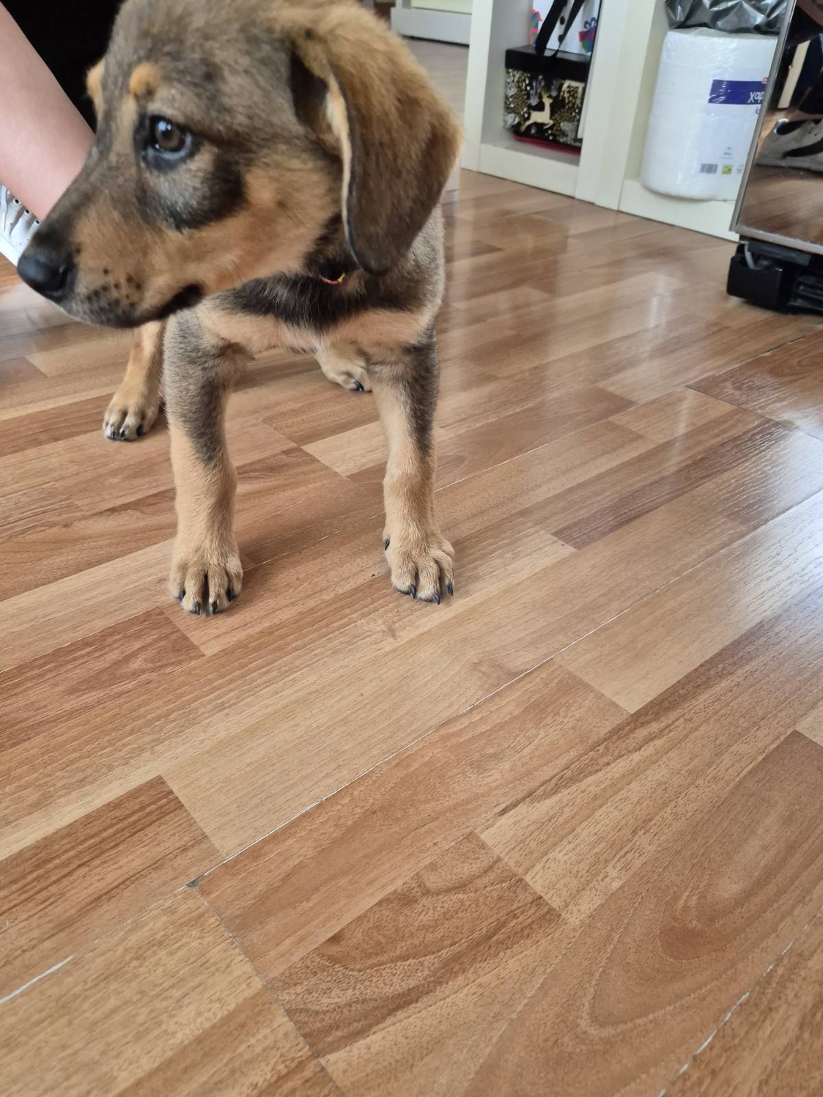 IMG-abb2cfc39c6d64978118c5e812dc6078-V