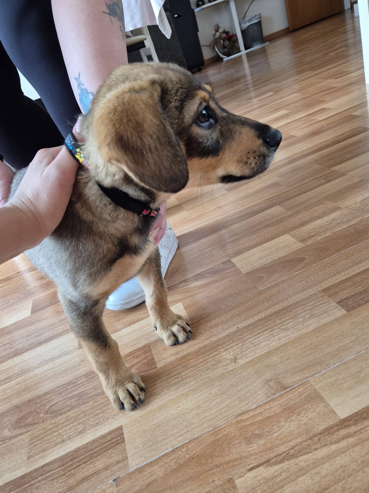 IMG-ffda7318c3104c20dd09d51a1307b676-V