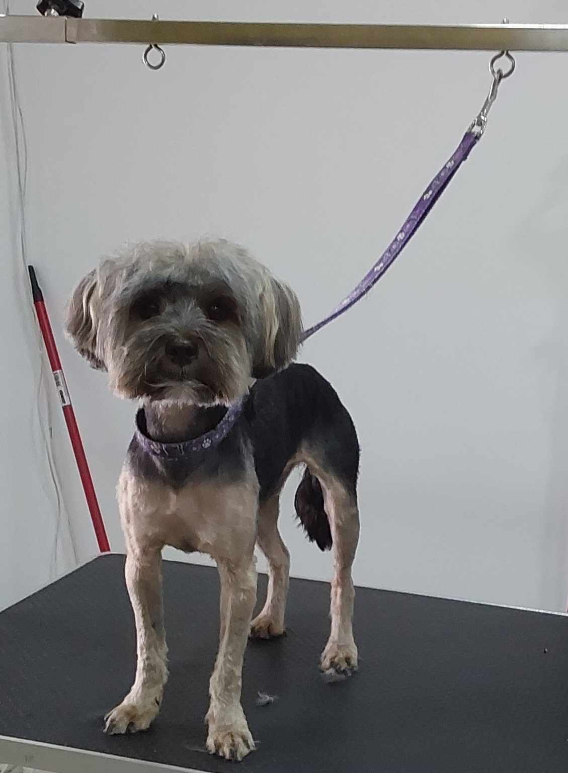 Messenger_creation_4eb69c17-76b3-4bac-9f60-e2b5b717a7e9