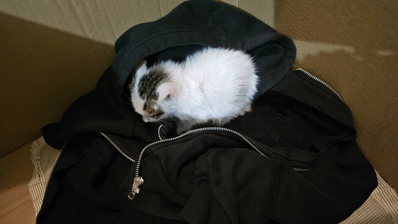 signal-2024-05-06-21-26-45-717