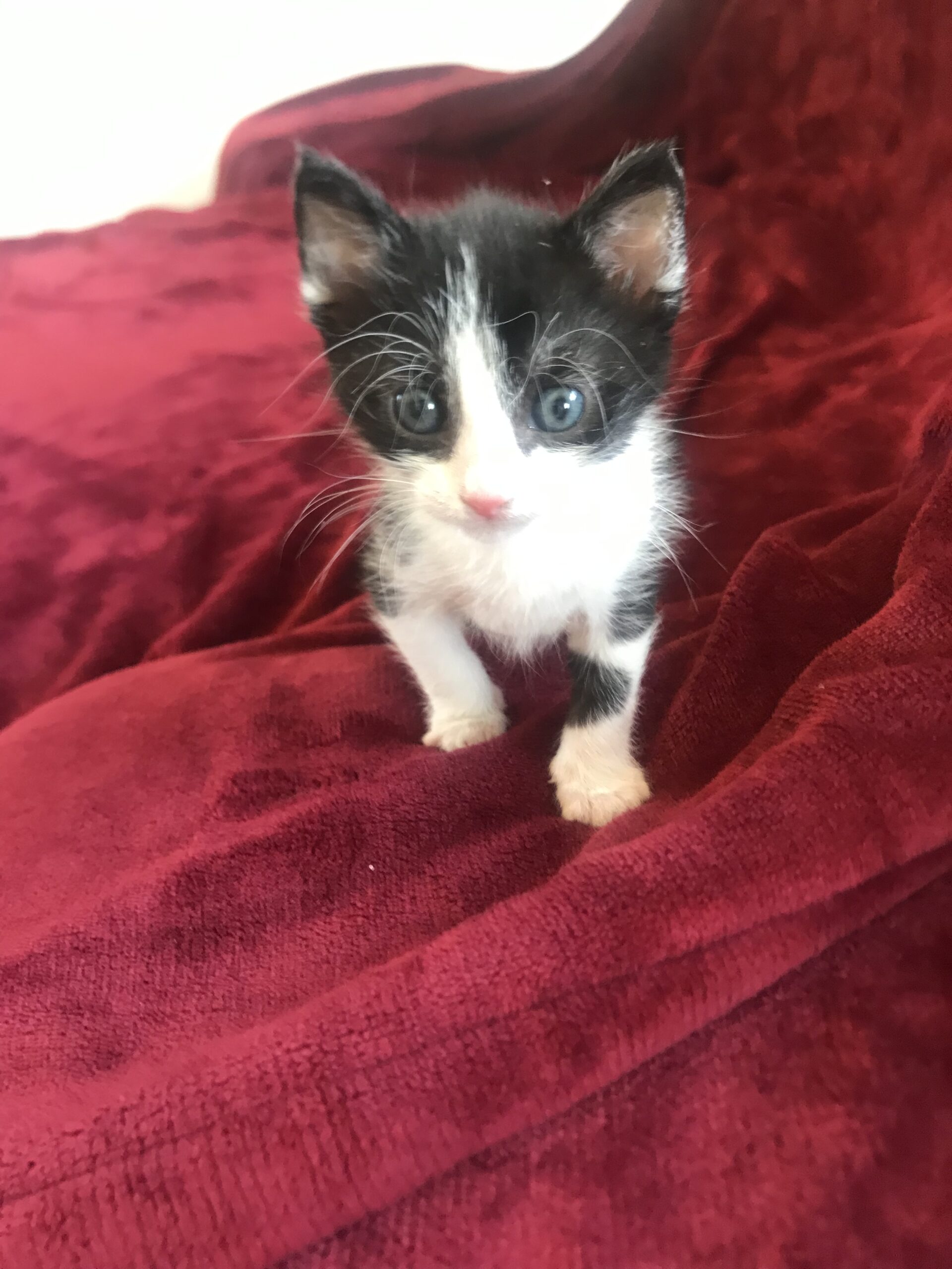 0A5B41FC-8494-4914-B217-0AFDD1E13243