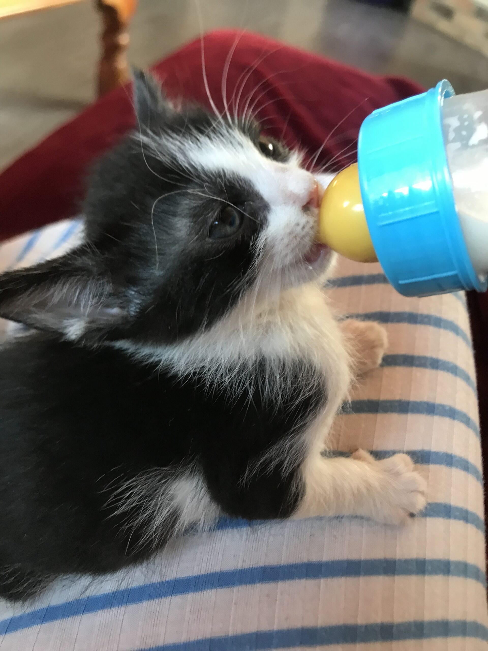 10F8B349-3786-42F2-A83D-71F1D7191C61