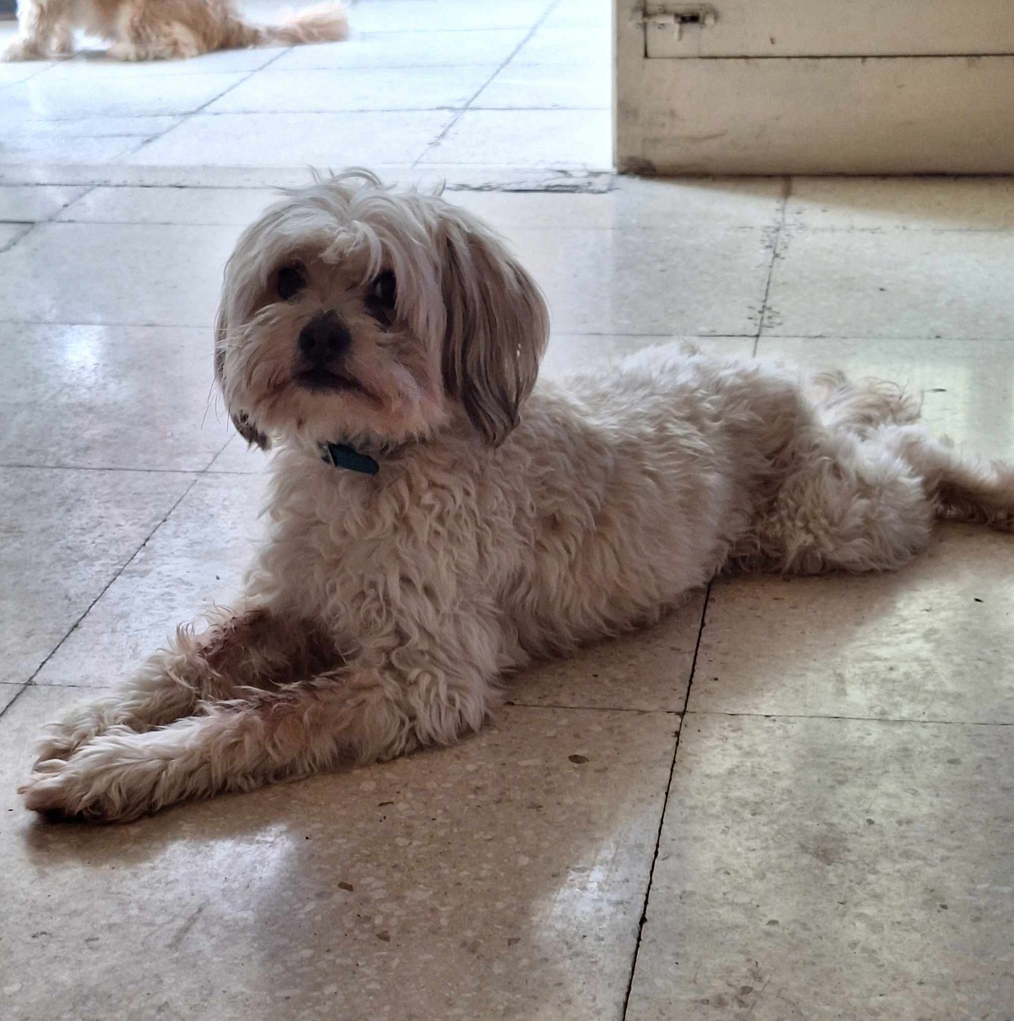 1AE6D7BC-026F-4184-8A53-B954041F59DD