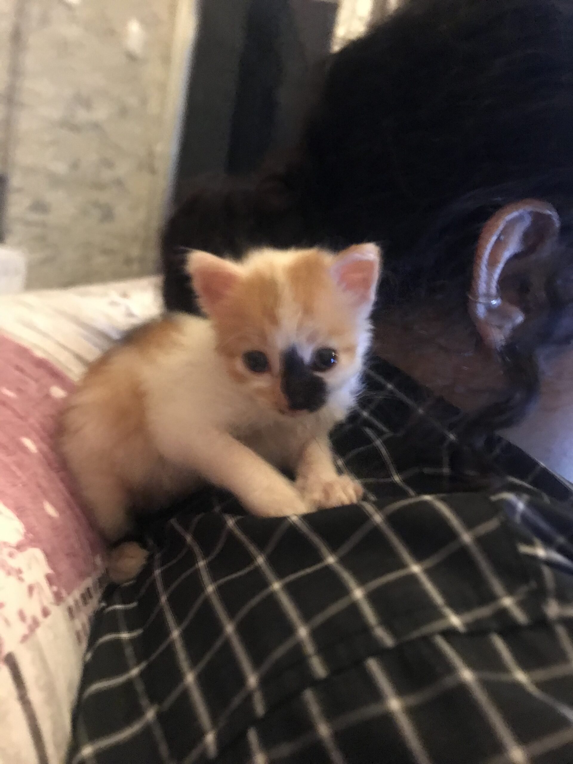 414E5DDD-6375-402A-A4DA-9D4A186B98E4