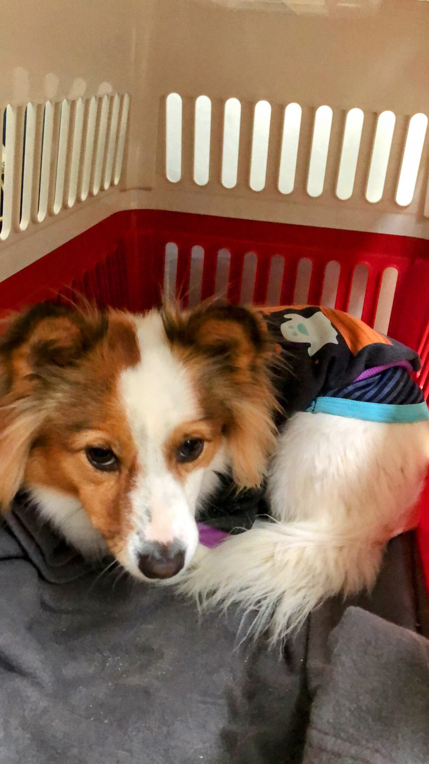 88B8F675-1155-47D8-A6C0-0A9365FEE314-Copy