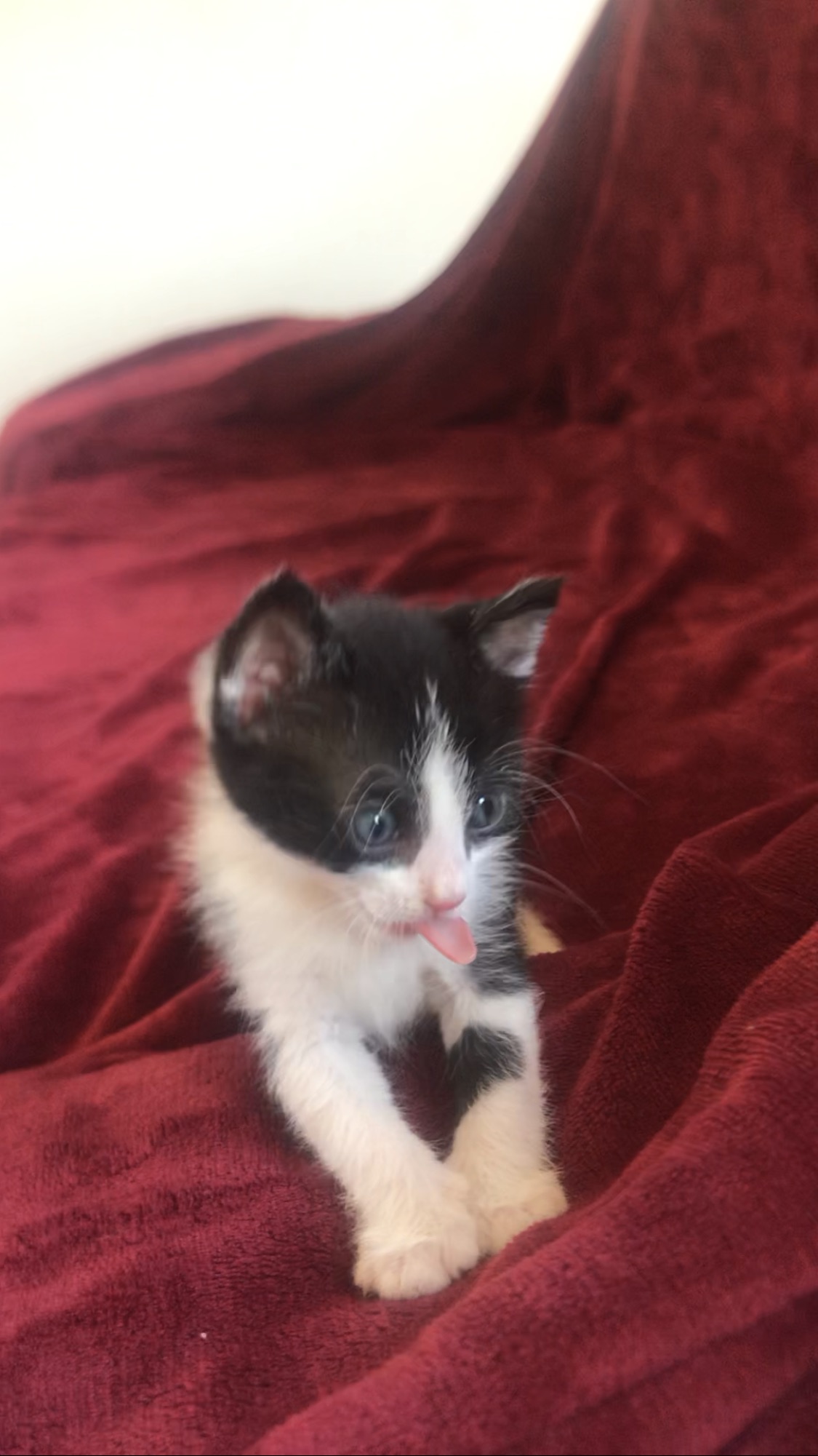 AF456DC1-1B67-44D1-9366-0CC350B95DCF