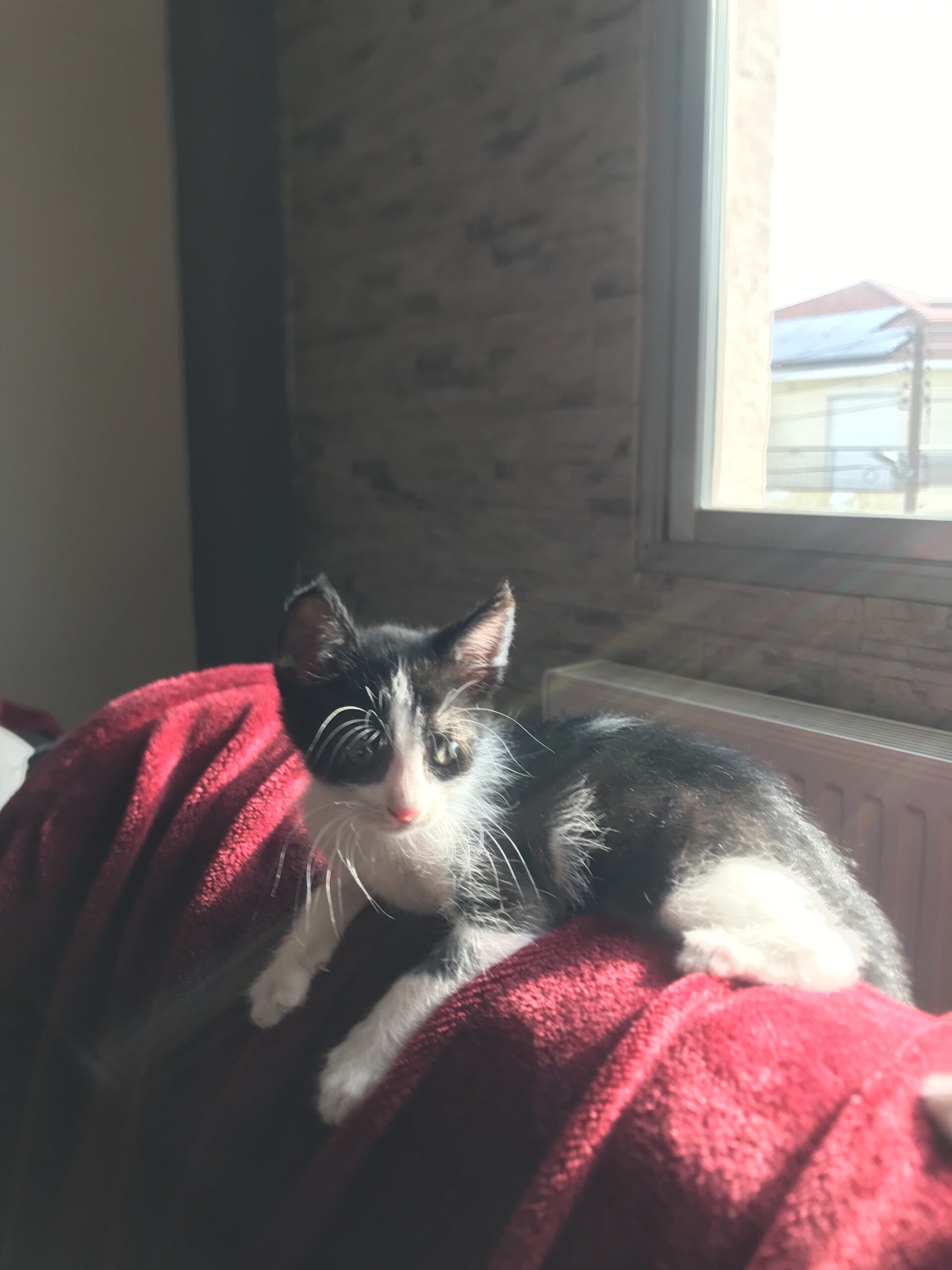 FDF759A0-A44E-4956-824B-36EE646B0281