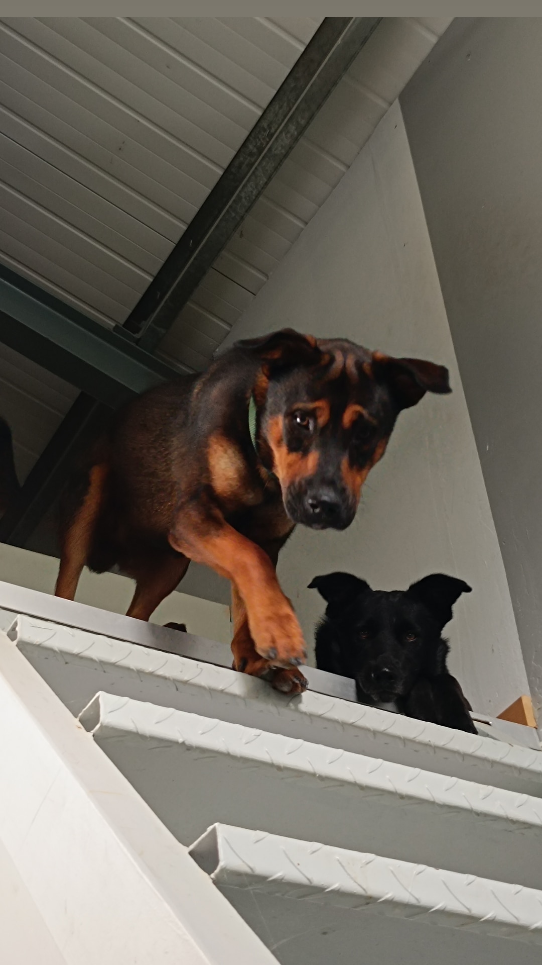 IMG_20240519_103358_465