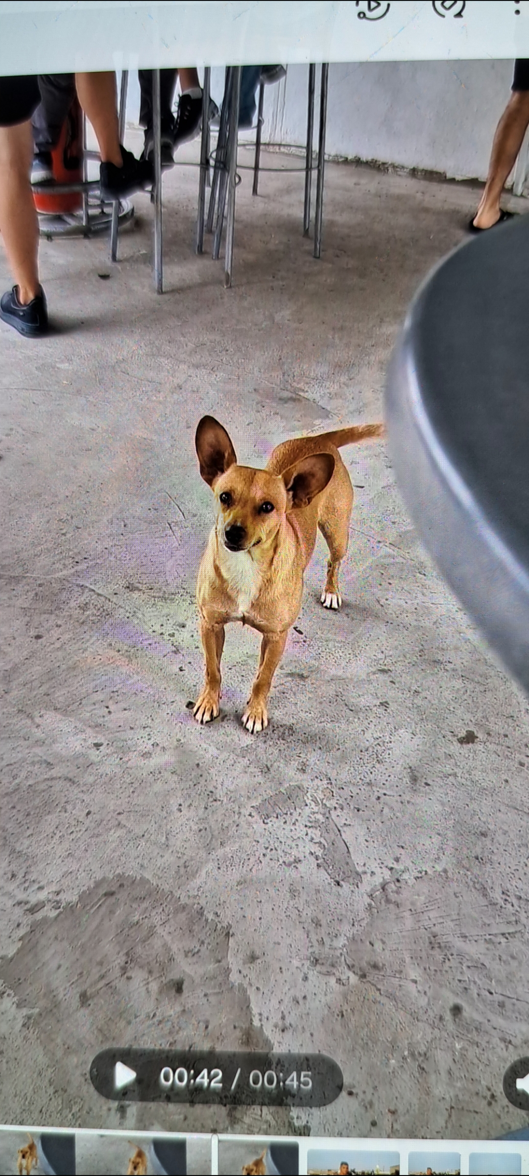 Screenshot_20240621_131550_Gallery