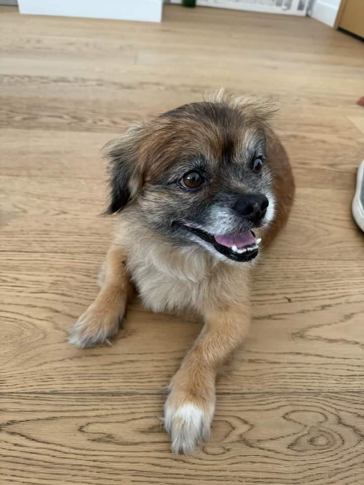 IMG_20240706_221840_753