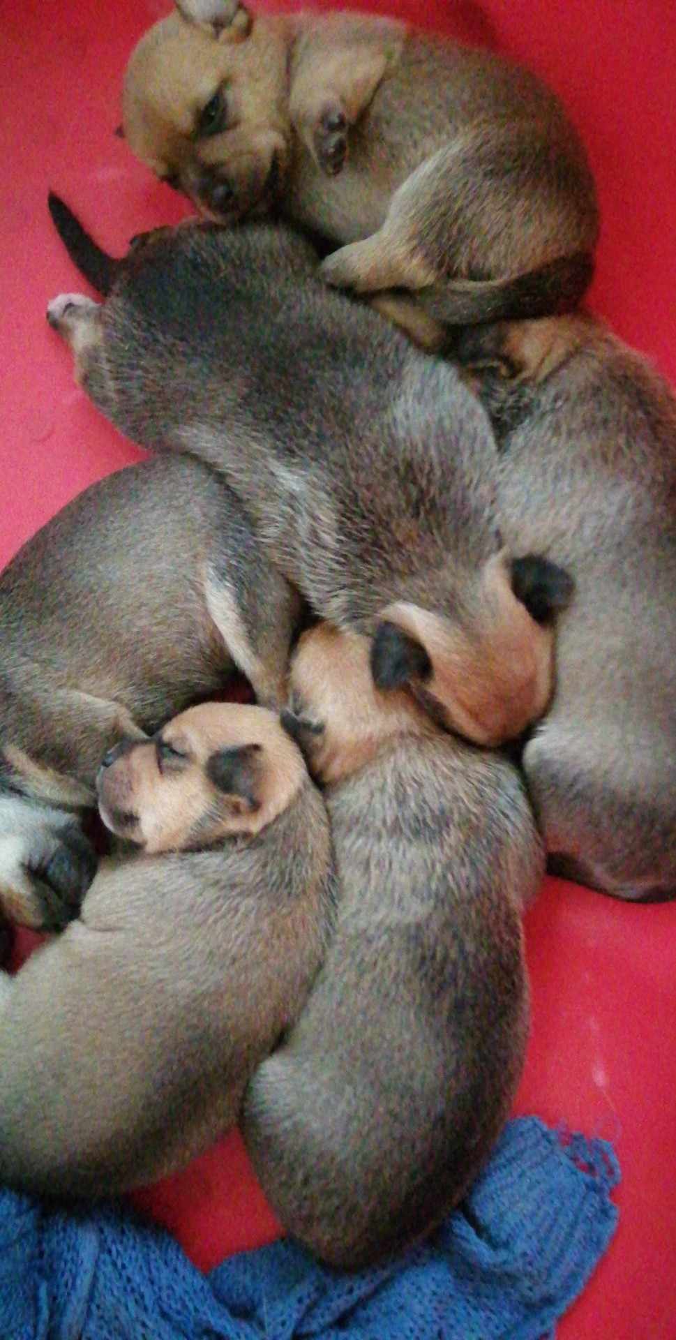 Messenger_creation_16be6879-9e22-43f4-bed4-db8a3a21380b