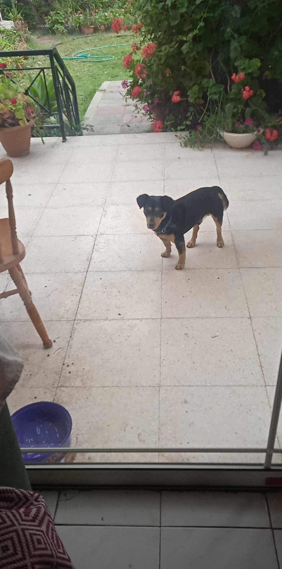 Messenger_creation_3332679d-eeae-4527-bef1-35b2c16ec003