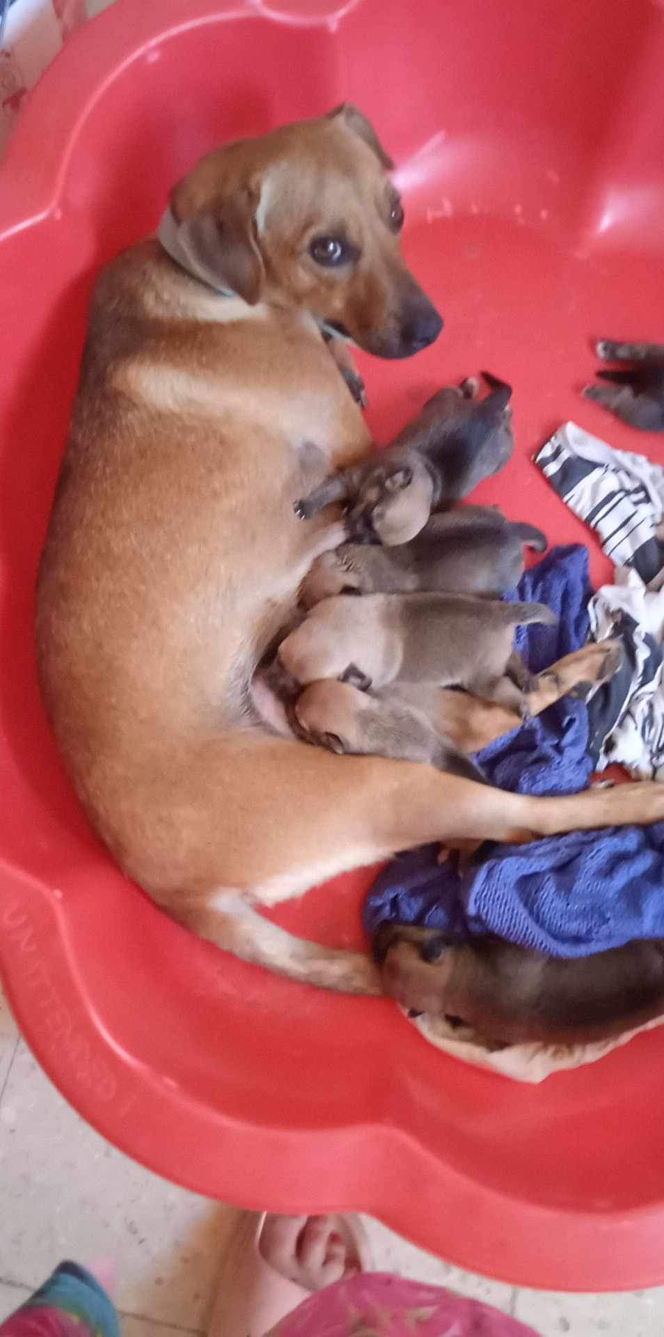 Messenger_creation_d436a2a1-5eed-4b48-951f-090b7384e15c