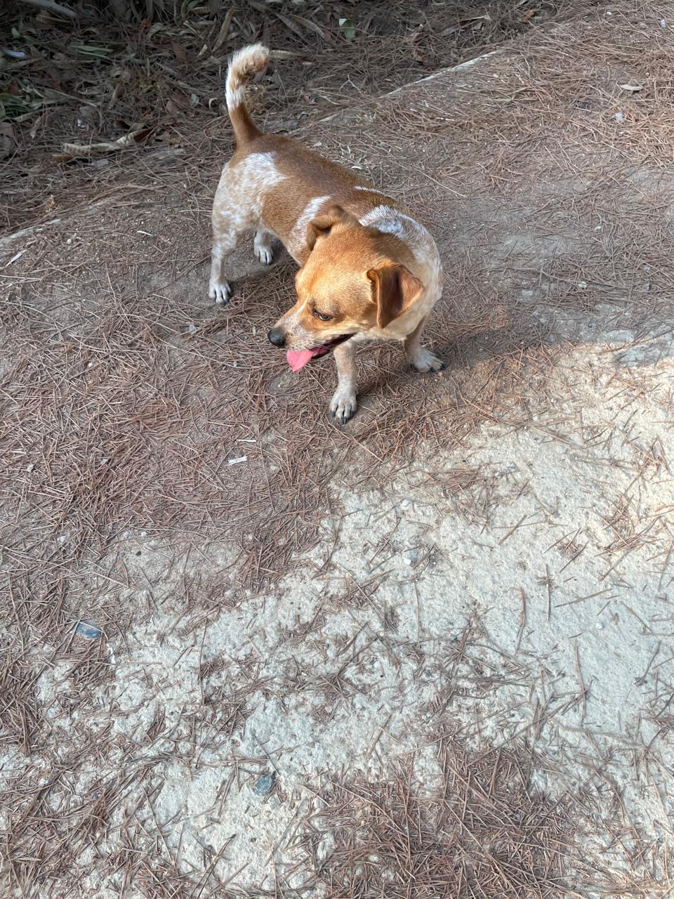 d96fa8d7-046e-411b-84f8-a64827cd4ff4