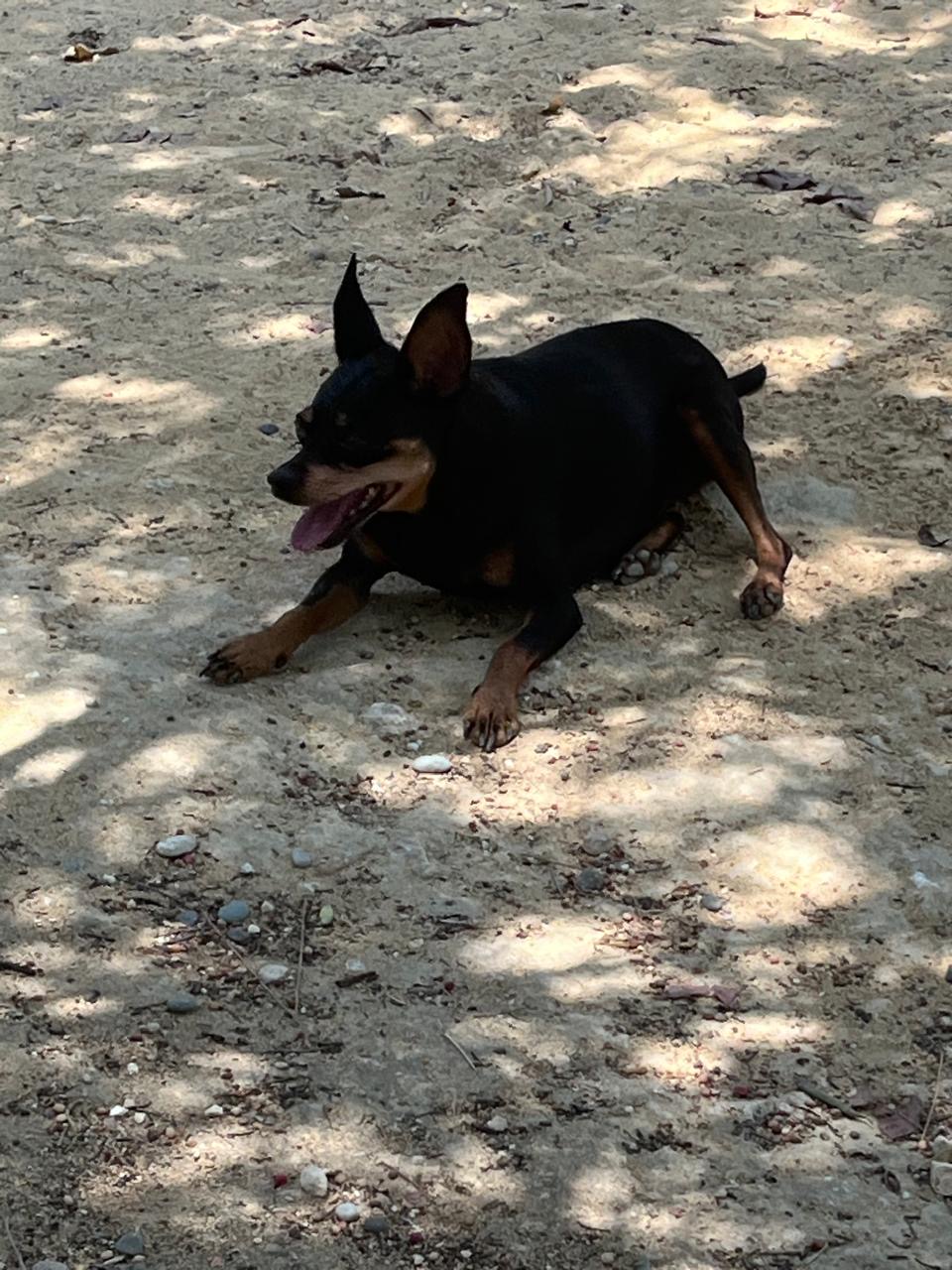 debc49ea-3687-4506-b4b0-b4764f3799c0