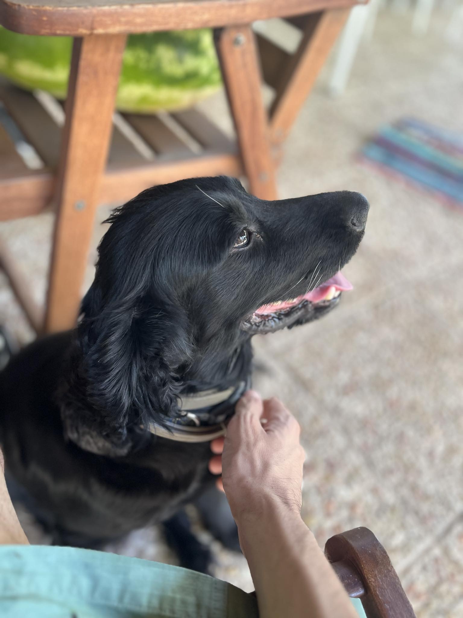 D697226A-E228-4012-9AB3-0B2C38786D1B