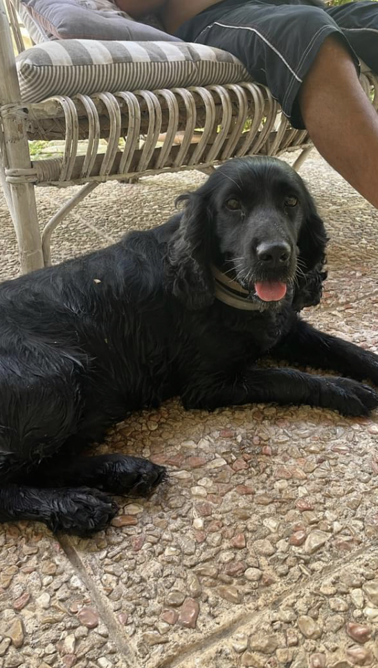 E050553C-9664-433A-B46E-D3EF32CEED9C