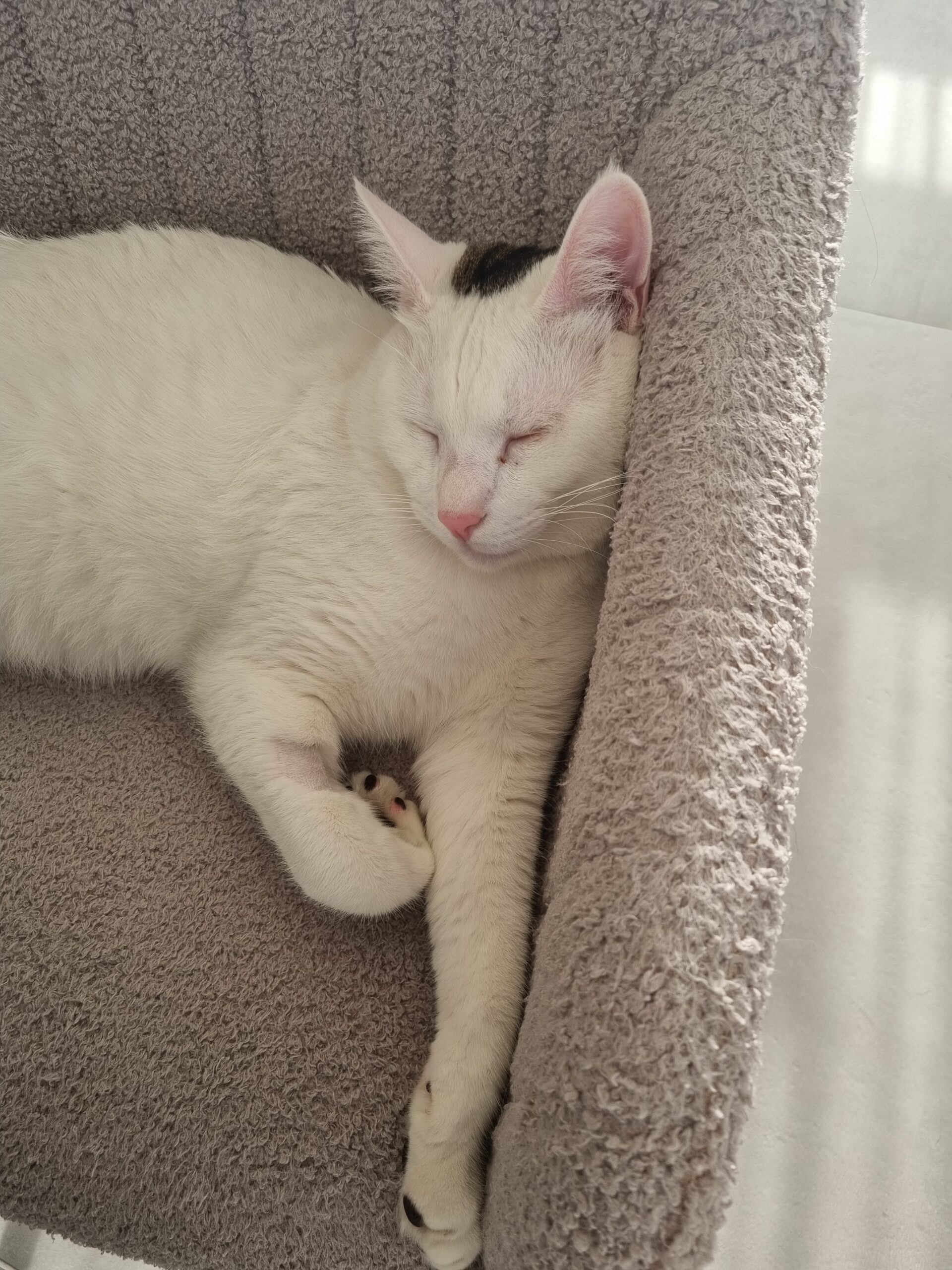 inbound1592925308629418892