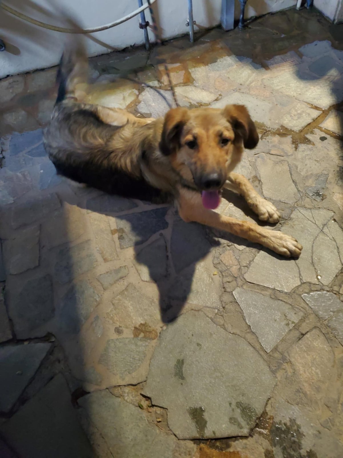 inbound3212106830489820533