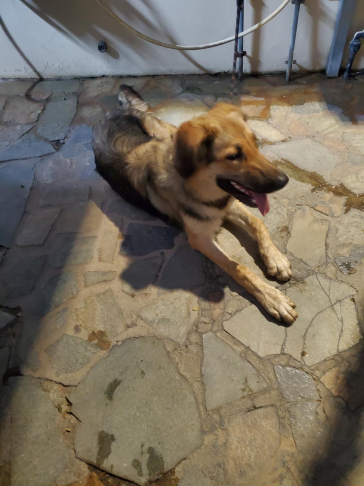 inbound415933469178222470