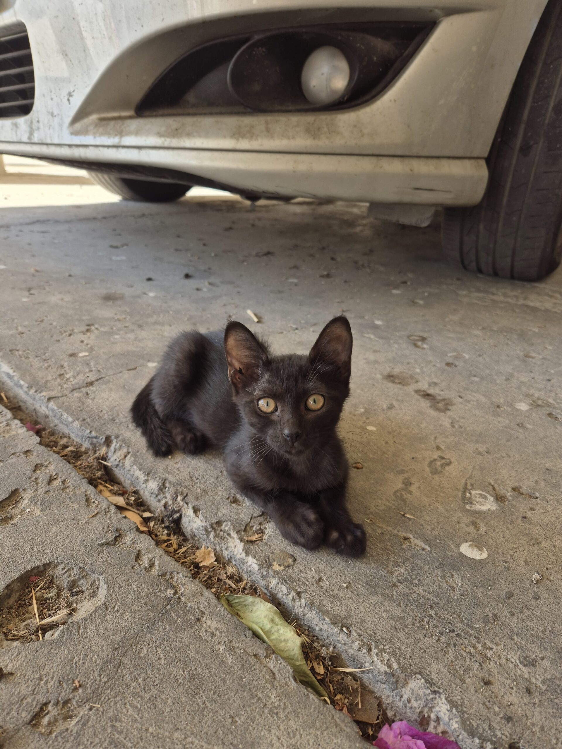 WhatsApp-Image-2024-09-14-at-20.08.57