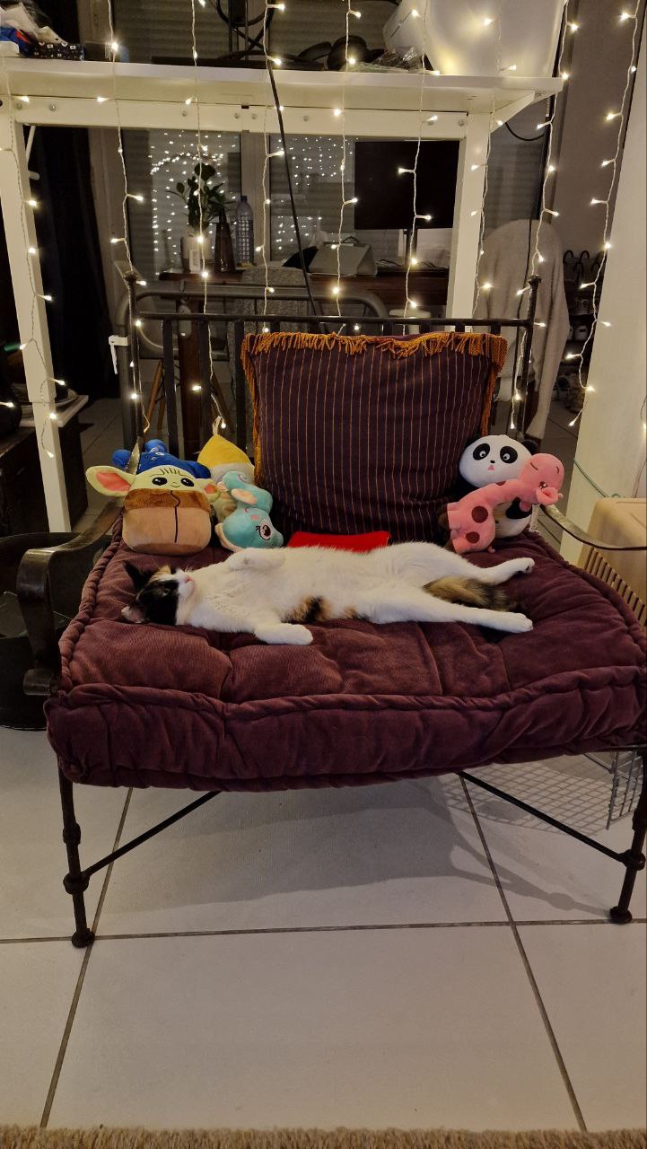 458932425_359355367248626_1121057008789663163_n