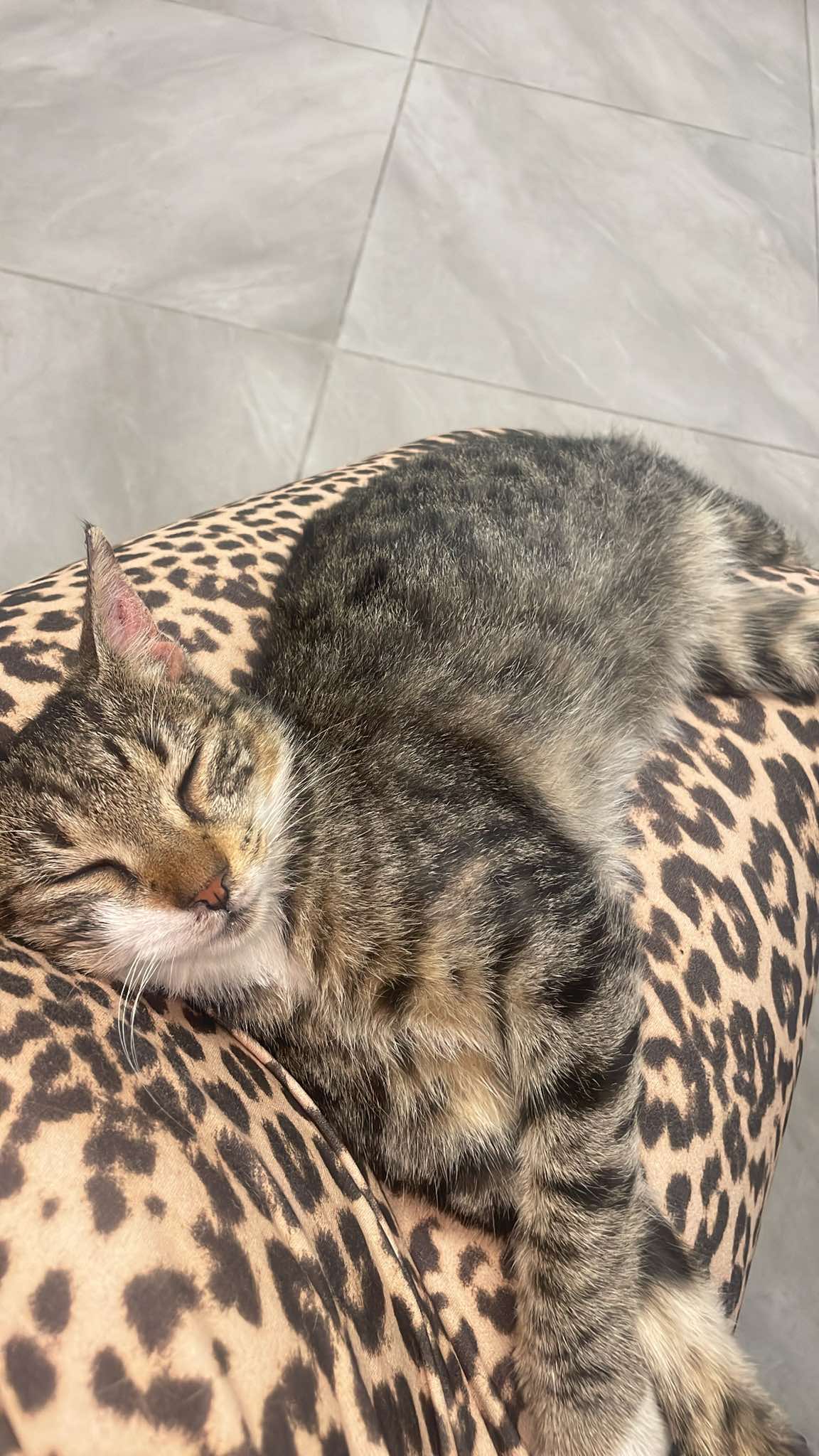 462534222_941776341123988_2173048079303194494_n