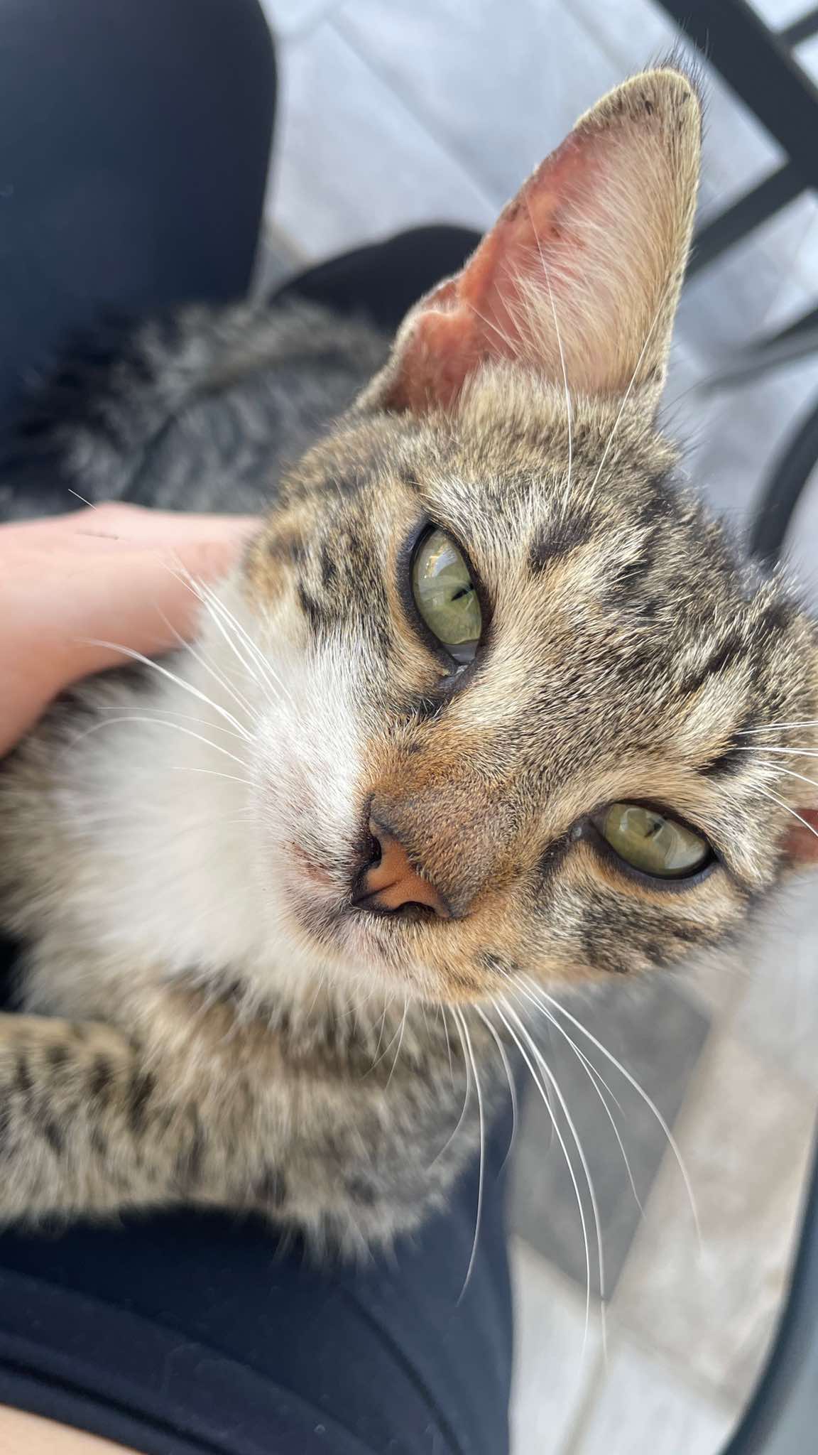 462651367_897286225696220_7107453102108837653_n